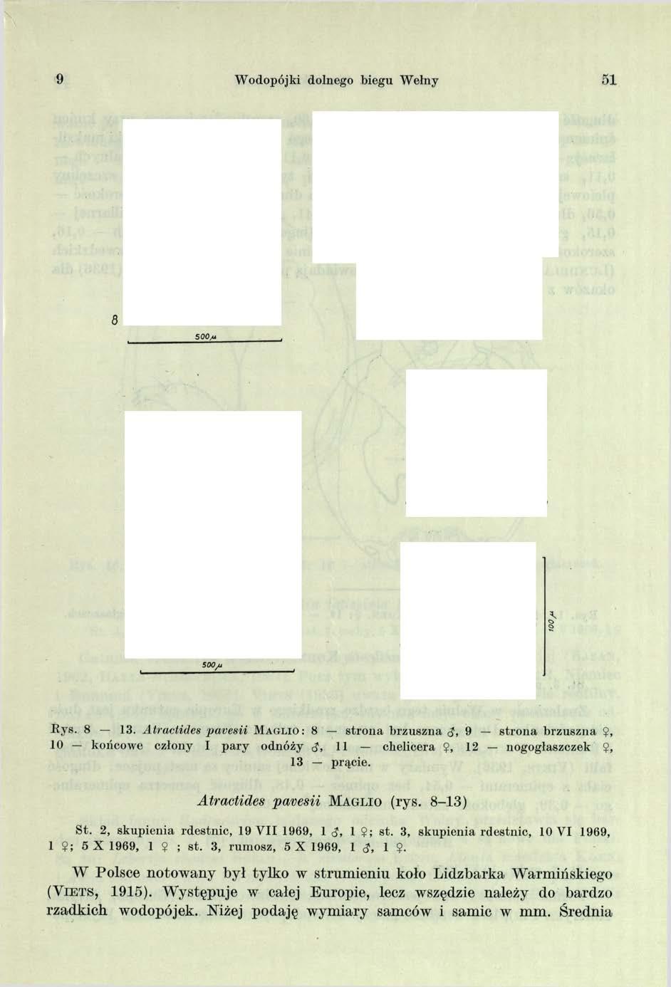9 Wodopójki dolnego biegu Wełny 51 5 00/u
