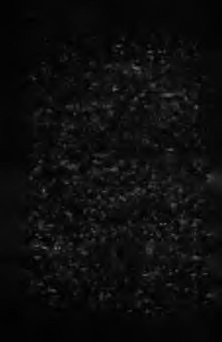 Fpa bepe (Rura), CpedneeeponeucKuu odonmojiozmeckuu mun u ezo eapuammi na meppumopuu Jlameuu (c. 166-176); JI. X ean oct (TaJiJiHH), Onbim uiynenu.'!