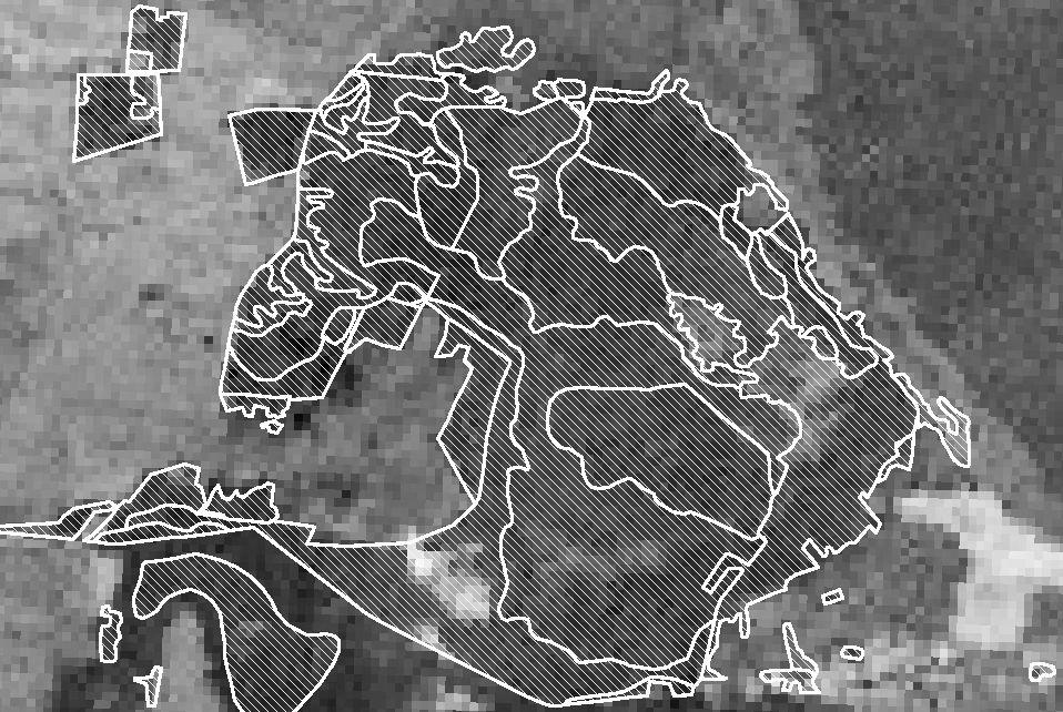 Możliwość monitorowania zmian środowiska z użyciem narzędzi GIS na przykładzie Słowińskiego Parku Narodowego Rys. 1. Fragment wektorowej warstwy tematycznej zbiorowiska leśne.