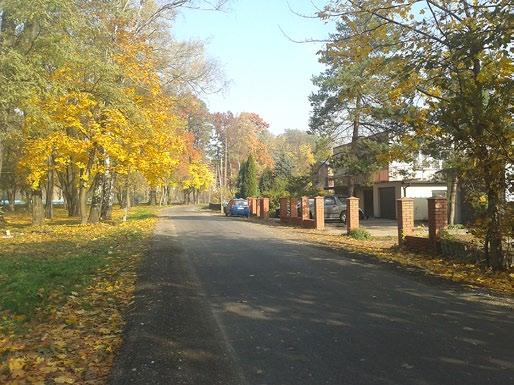 7. Budowa Zielonego ogrodu do gier i zabaw na świeżym powietrzu przy ul. Zakrzowieckiej. 8. Budowa (przeniesienie z ul. Dąbrowa) ogródka jordanowskiego przy ul. Krzewowej (róg z ul.