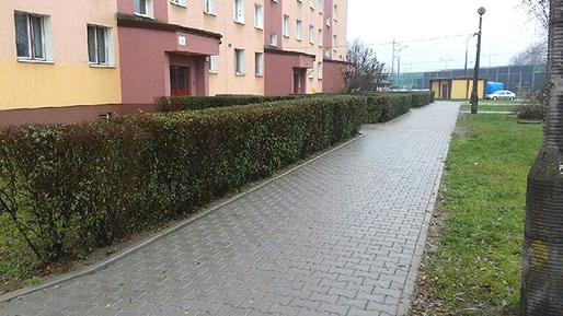 ul. Grota Roweckiego 35 remont