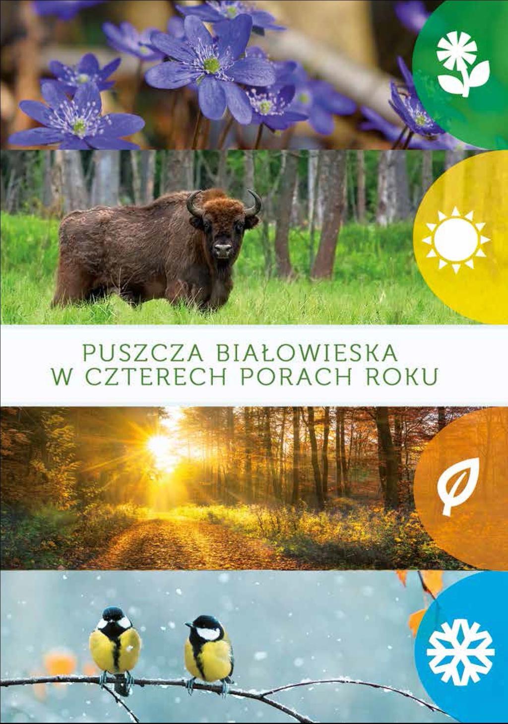 Rok 2018 Z lekturą poradnika przekonacie się że Puszcza kusi bioróżnorodnością o każdej porze roku, poznacie jej mieszkańców i zobaczycie, że głęboko w łęgach i olsach kryją się najprawdziwsze