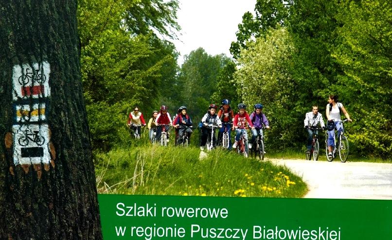 Na terenie Puszczy Białowieskiej wytyczono 3 Parki: Nordic Walking Park,,Kraina Puszczy i Żubra (w okolicy Hajnówki),,,Nordic Walking Park,,Białowieża oraz Nordic Walking Park,,Kraina dobrych wiatrów