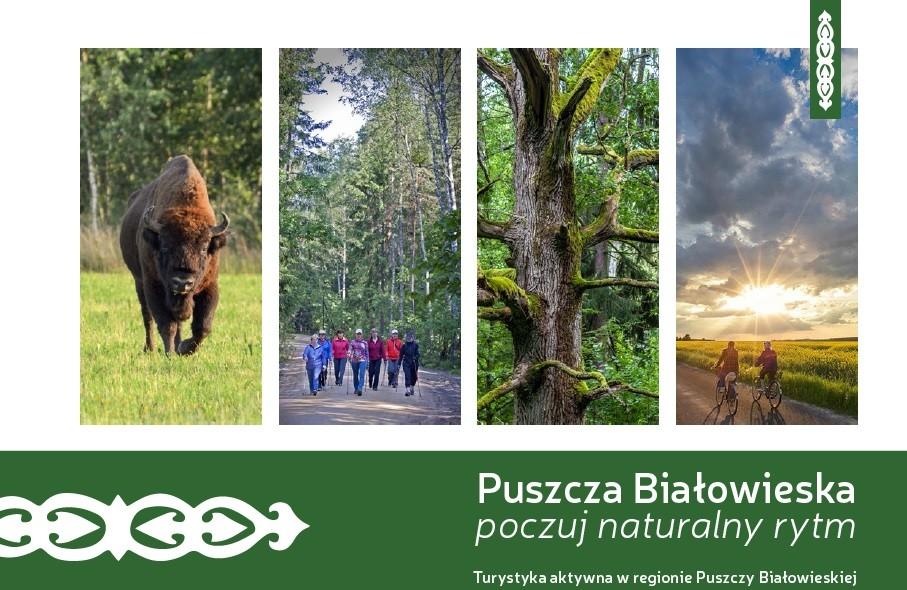 Folder prezentuje ofertę skierowaną do osób lubiących aktywnie spędzać wolny czas w rowerze, kajaku, na wycieczce koleją wąskotorową, na nartach, pieszo lub nordic walking.