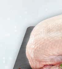 -29% 2 49 3 49 1/2 LITRA PIWA