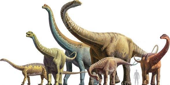 Cele: Jak wyglądał świat przed milionami lat 3 XII 7 XII 2018r Wzbogacanie wiedzy o dinozaurach rozpoznawanie dinozaurów na obrazkach Rozwijanie umiejętności wypowiadania się na dany temat i