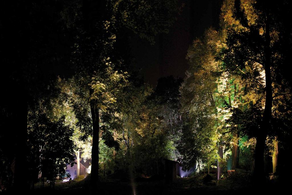 Park dworski okolice Krakowa