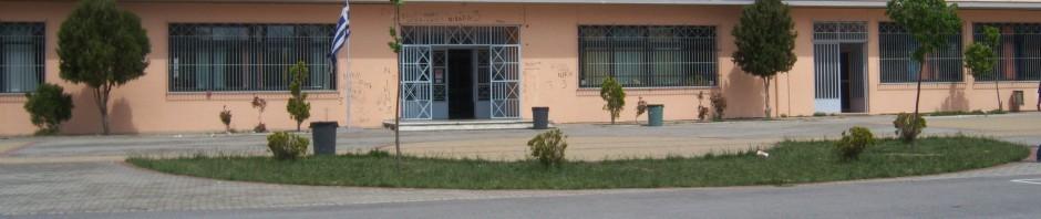Grecja, 3rd Primary School of New Ionia, Volos (centralna