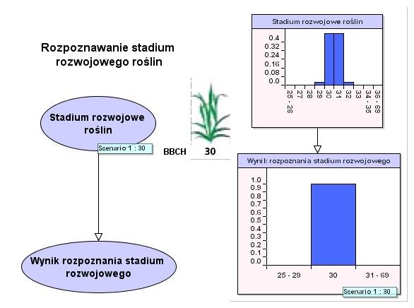 MTfgbfbjTa\X f\xv\ UTlXfbjf^\V[!!! Rys. 1. Fig. 1. Rozpoznawanie stadium rozwojowego roślin Plants developmental stage recognition Sieć pokazana na rys.