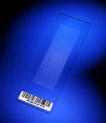 www-microarrays.