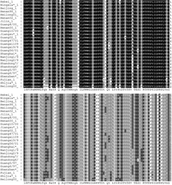 programów FASTA i BLAST dopasowanie wielu sekwencji (multiple alignment) Multiple sequence alignment Metody dopasowania Pairwise