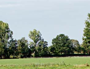 Nierównomierne