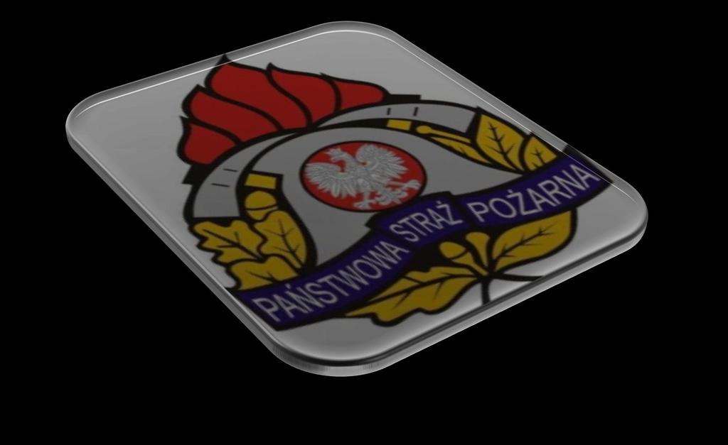 S t r o n a 3 Szanowni Państwo!