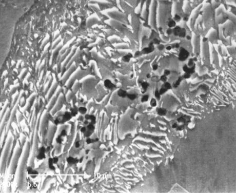 106 Rys. 3. Drobne wydzielenia występujące w perlicie. Mikrografia skaningowa elektronowa. Zgład trawiony nitalem, pow. 2000x Fig. 3. Tiny precipitates occurring in pearlite.