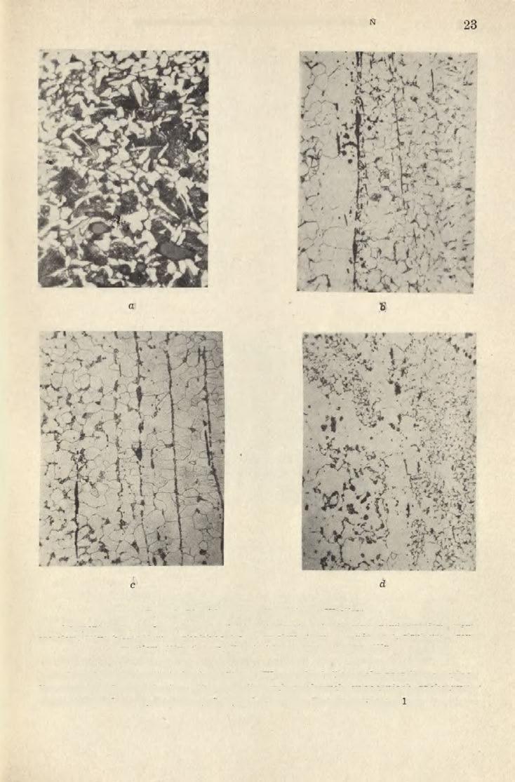 SPRAWOZDANIE Z METALOZNAWCZYCH BADAŃ 223 Ryc. 4. Stradów, pow. Kazimierza Wielka: a fragment nr 2, struktura części bardziej nawęglonej, pod większym powiększeniem, traw.