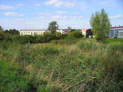 W 2006 r. zbiornik po bagrowaniu wyglądał całkiem odmiennie.