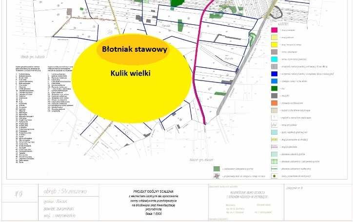 mazowieckie, projektowanej do scalenia