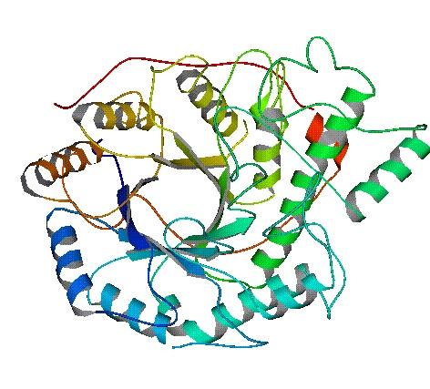 Kataliza heterogeniczna - enzymy centrum aktywne powierzchnia zewn trzna