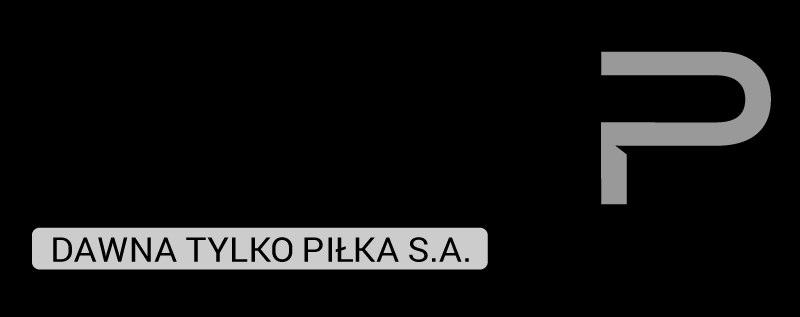 RAPORT ROCZNY ZA ROK