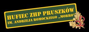 Środowisko Hufca Pruszków zorganizowane jest w pięciu szczepach i jednej drużynie podlegającej pod hufiec.