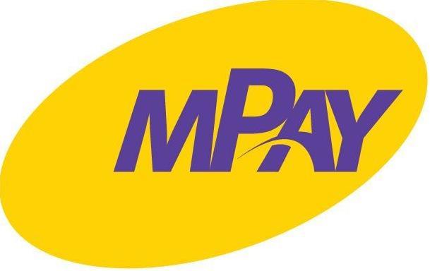 RAPORT ROCZNY ZA ROK OBROTOWY 2017 MPAY SPÓŁKA