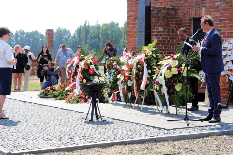 wypowiedzi, rozwiązań prawnych dotyczących funkcjonowania mediów i prawa prasowego. Przez dwie kadencje sprawowała mandat Przedstawiciela OBWE ds. Wolności Mediów.