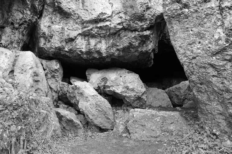 Materiały archeologiczne i szczątki fauny z Jaskini na Wrzosach Południowej 171 Ryc. 2. Otwór wejściowy do komory jaskini. Fot. M. Wojenka Fig. 2. The entrance to the cave. Photo by M.
