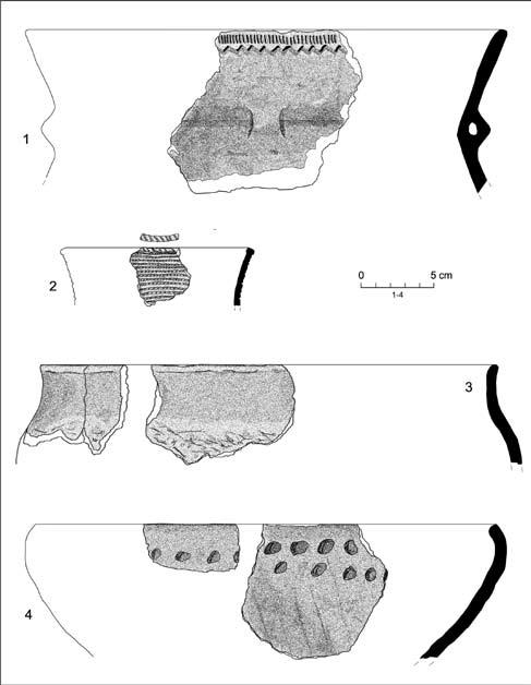 Materiały archeologiczne i szczątki fauny z Jaskini na Wrzosach Południowej 173 Ryc. 6. Ceramika prehistoryczna.