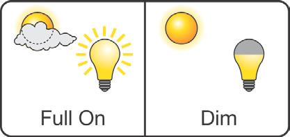 1. Zaawansowane strategie oszczędzania energii Sterowanie z wykorzystaniem światla dziennego Maksymalizacja oświetlenia dziennego W urządzeniach sterujących działających w oparciu o światło dzienne,
