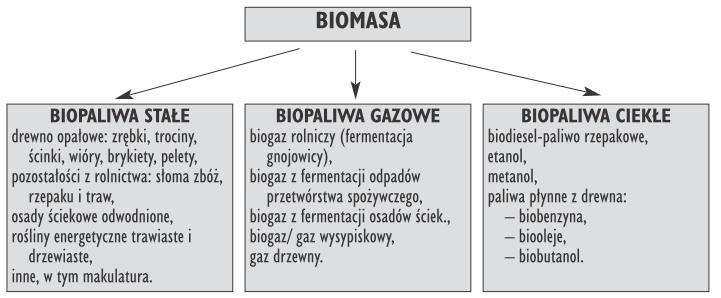 Rysunek 37 Systematyka energetycznego wykorzystania biomasy, Źródło: Metody i sposoby konwersji biomasy, pochodzącej z rolnictwa na cele energetyczne, Grzybek, Teliga, 2006 r.