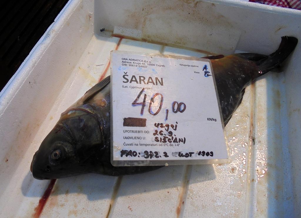 Ceny zbytu ryb Karp 22,8 zł/kg.