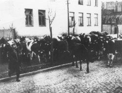 Wysiedlenie ludności polskiej z wsi Gostyń, gm. Jedlińsk, 1942 r.