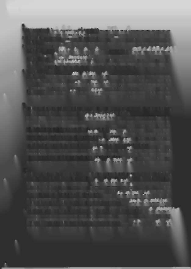 II..-. 1. Dom o powierzch i: ~?;.).:..t.~ m 2, o wartości: T...>..O O'.Q. tytuł prawny: k..j J~.:.f.\...J. :,1.).(.1.. 2. Mieszkanie o powierzchni: :-:-:- m 2, o wartości: -:-:-:-. tytuł prawny: =:.