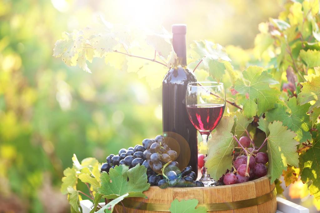 Włochy szlakiem wina Winnice z najdoskonalszym winem, zachwycające