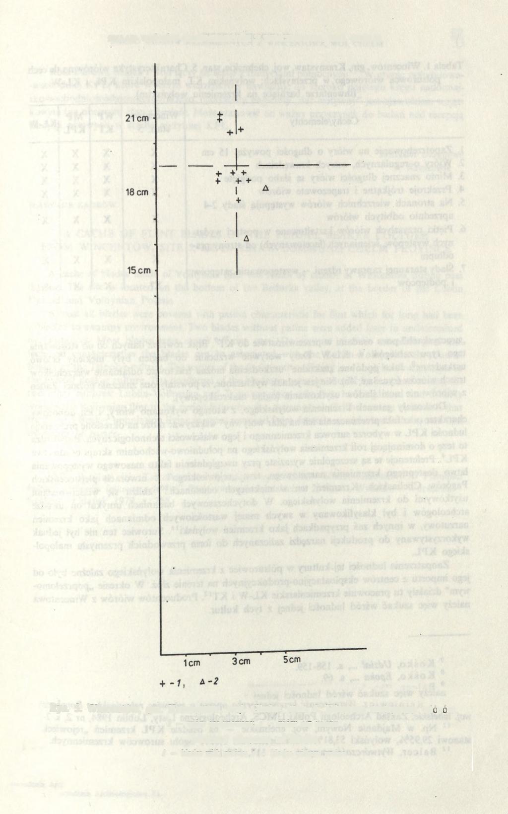 SKŁAD WIÓRÓW KRZEMIENNYCH Z WINCENTOWA, WOJ. CHEŁM 31 Ryc. 5.