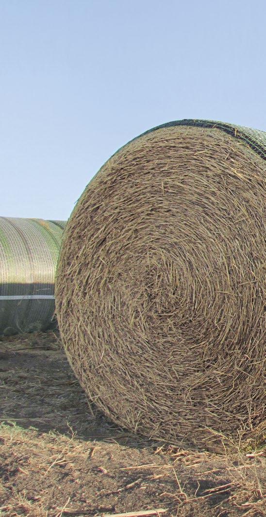 25 OPTYMIZACJA WYDAJNOŚCI ZARZĄDZANIE GOSPODARSTWEM W SIECI 3 1 4 Centrum Operacyjne John Deere na portalu MyJohnDeere.