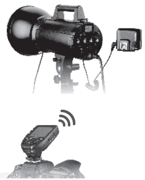 Bezprzewodowy wyzwalacz lamp studyjnych Quadralite X Aby wyzwolić i sterować zdalnie lampami studyjnymi Quadralite z linii X należy: 1. Wyłączyć aparat i zamocować nadajnik na gorącej stopce.
