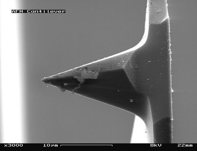 AFM