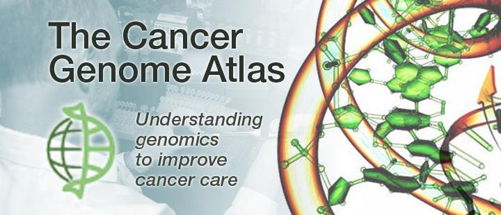 Integrated genomic characterisation of endometrial carcinoma The Cancer Genome Atlas