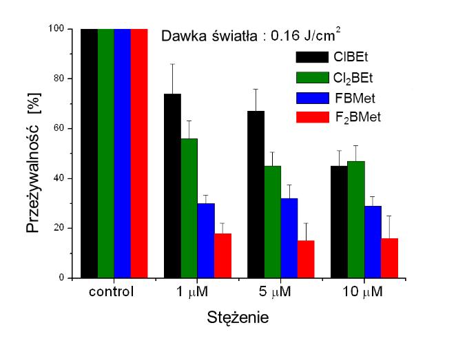 Dodatkowo dzięki połączeniu mikroskopii konfokalnej z mikrospektrofluorymetrią możliwe było określenie profili widmowych bakteriochloryn i znaczników fluorescencyjnych w tej samej płaszczyźnie