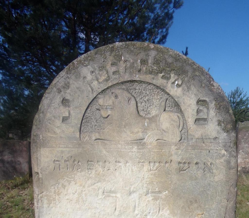 Lew oznaka przynależności do rodu kapłanów - macewa z cmentarza