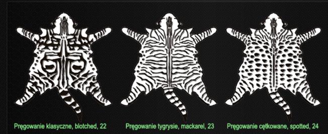 ubarwienie (ciemniejsze i jaśniejsze pręgi, kolor zależny od genów B, D itp.