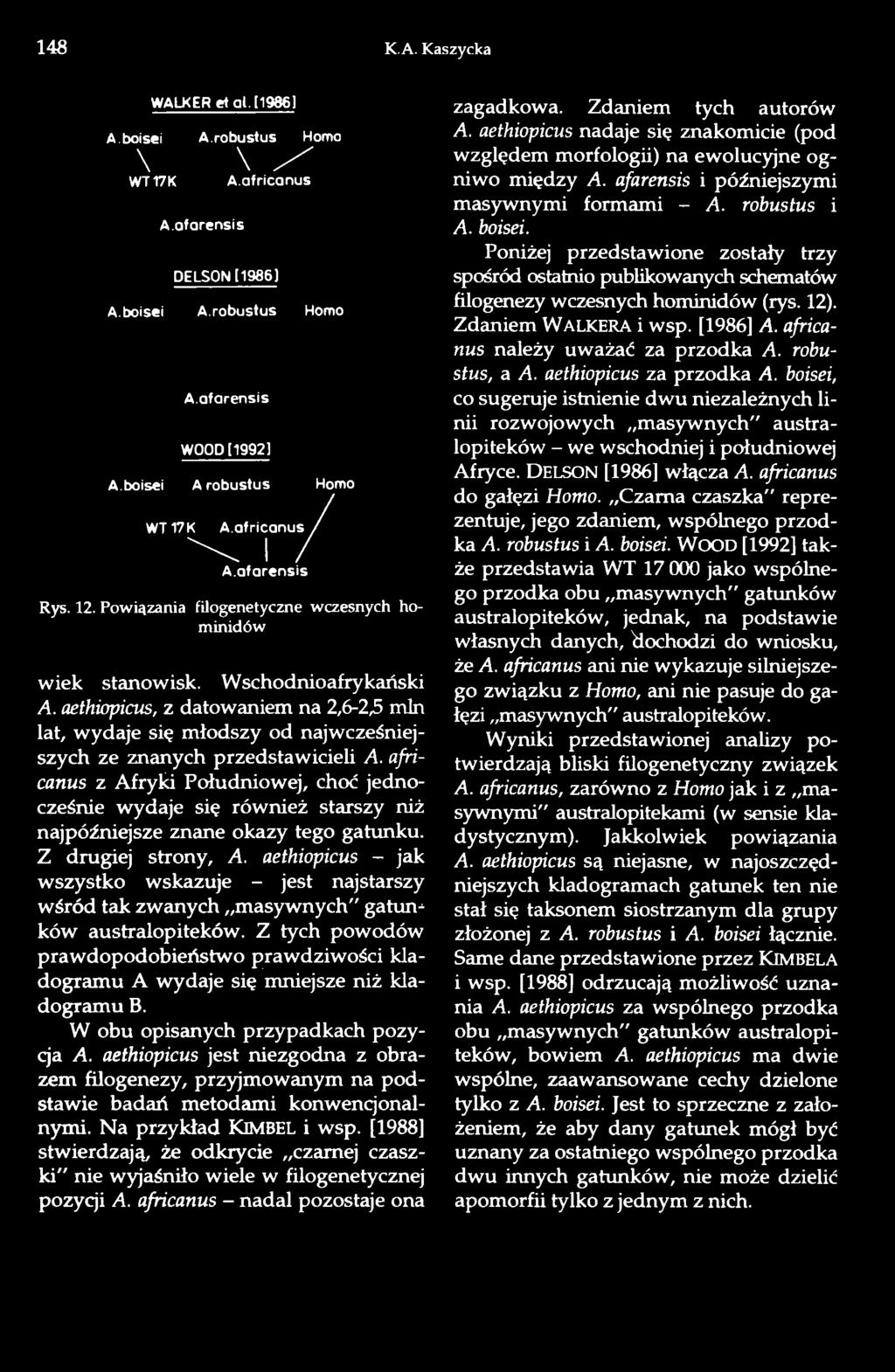 aethiopicus, z datowaniem na 2,6-2,5 min lat, wydaje się młodszy od najwcześniejszych ze znanych przedstawicieli A.