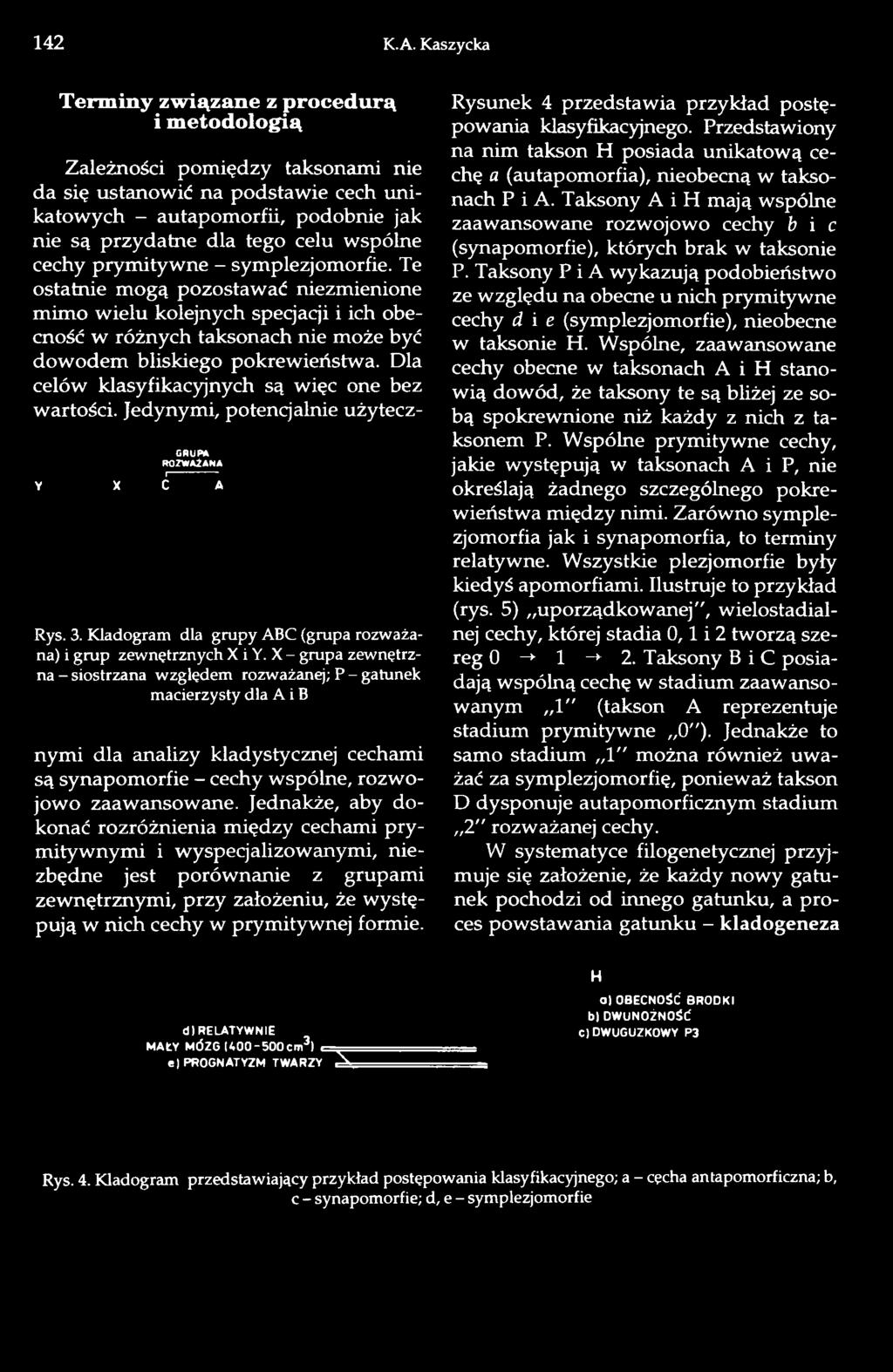 wspólne cechy prymitywne - symplezjomorfie. Te ostatnie mogą pozostawać niezmienione mimo wielu kolejnych specjacji i ich obecność w różnych taksonach nie może być dowodem bliskiego pokrewieństwa.