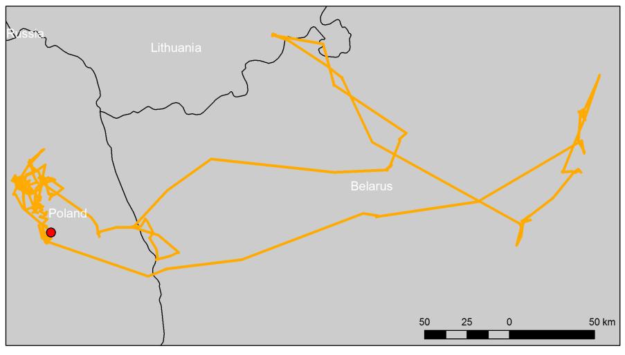 Termin opuszczenia rewiru rodziców Średni termin opuszczenia rewiru rodziców to 29.