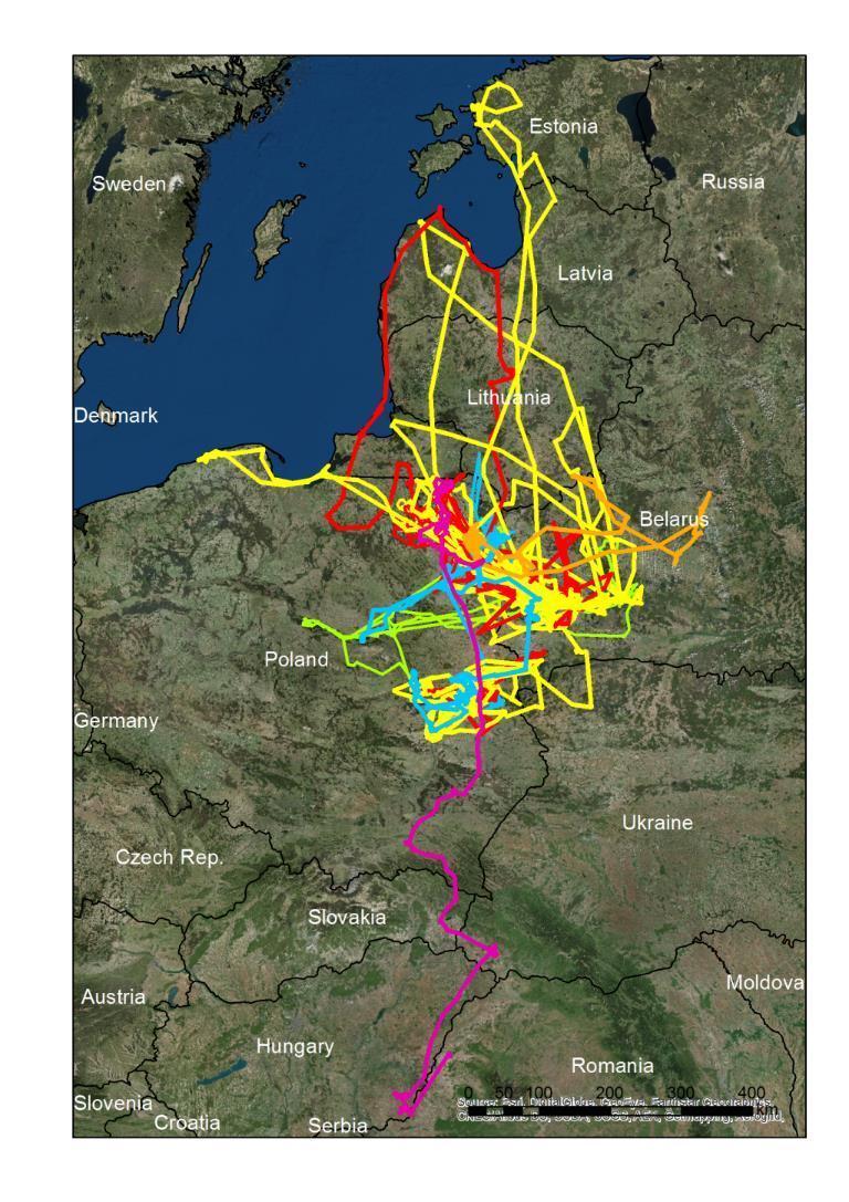 Estonii) Maksymalna odległość od miejsca urodzenia 2014 2015 2016 2017 Sidra02 306 292 332