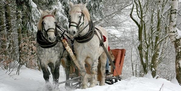 Dzień kolejny- czwartek, śniadanie, a po nim zapraszamy na szkolenie, w przerwie kawa oraz dobry obiad, popołudnie oddajemy do Państwa dyspozycji, czas wolny, odpoczynek, spacery, strefa wellness -