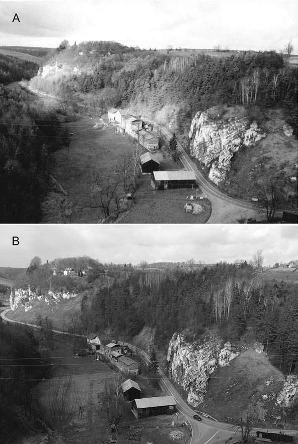 Zmiany składu gatunkowego murawy kserotermicznej na powierzchni Grodzisko w OPN 23 Ryc. 1. Powierzchnia badawcza Grodzisko : A lata 90. XX w., B 2001 rok. Fot. R. Cieślik (Archiwum OPN) Fig. 1. The research area Grodzisko : A 90s of the twentieth century, B 2001 years.