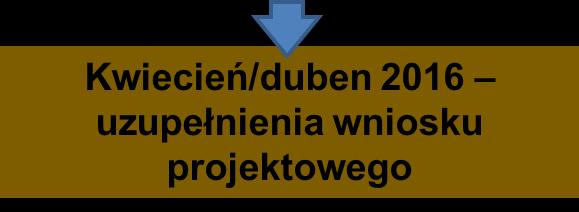 Maj/Květen 2014 przygotowanie fiszki projektu Listopad, Prosinec 2015 ocena i