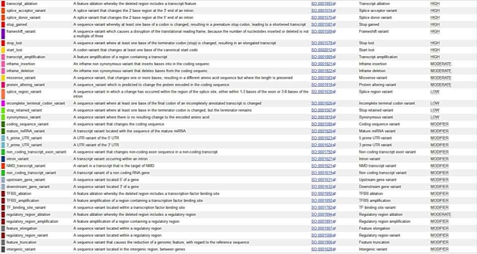 SEQUENCE ONTOLOGY TERMS http://www.ensembl.